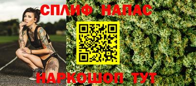 стафф Моздок