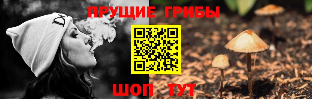 Томск  Галлюциногенные грибы Magic Shrooms  Вход с VPN 